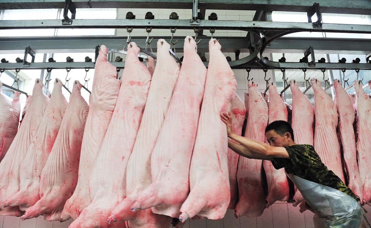 汽油大降价!11月9日,猪价“变价预警”,油价怒降240元!啥情况 汽油大降价!11月9日,猪价“变价预警”,油价怒降240元!啥情况